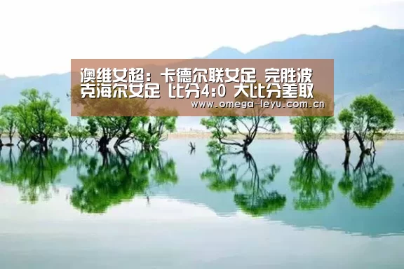 乐鱼平台官网